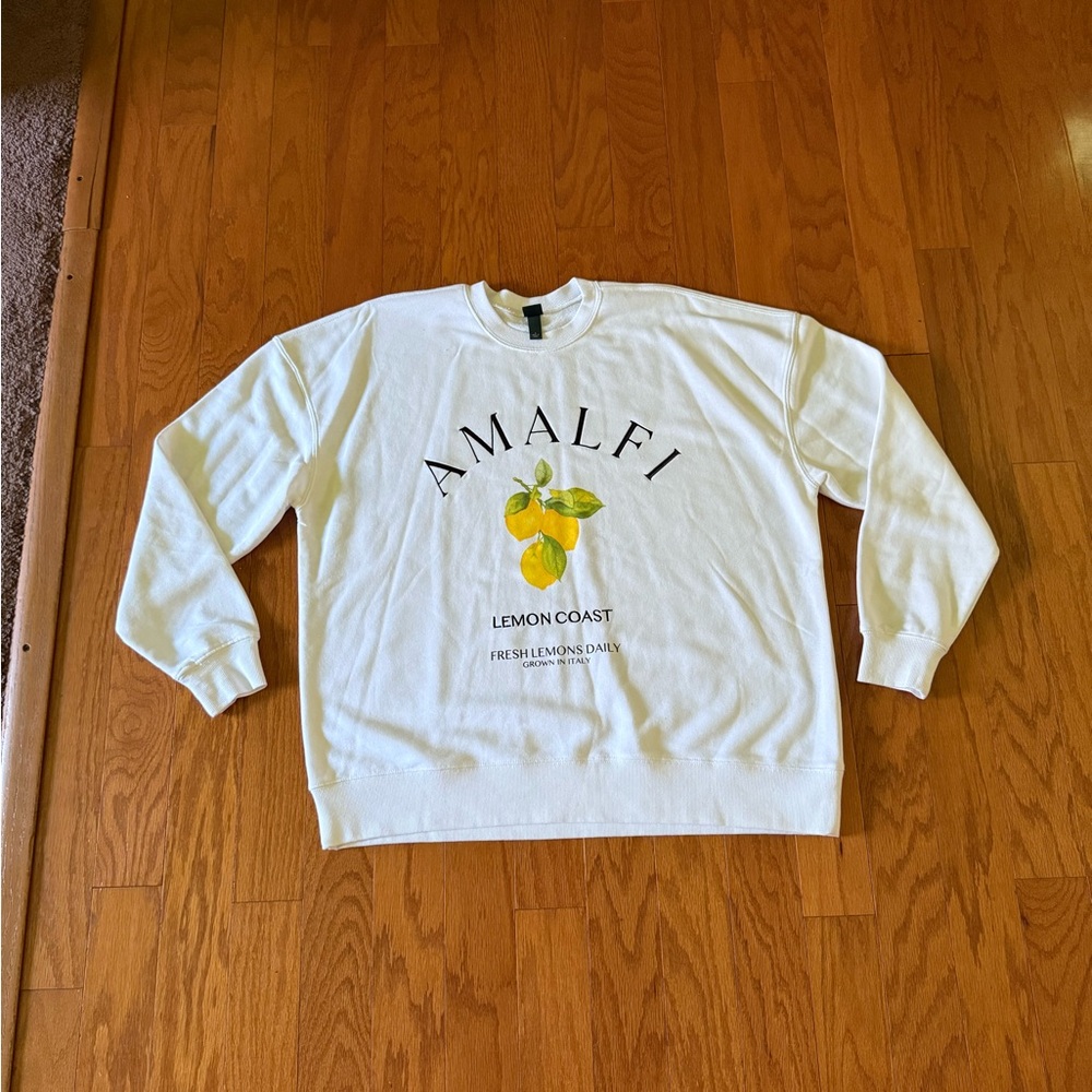 Wild fable graphic sweatshirt!